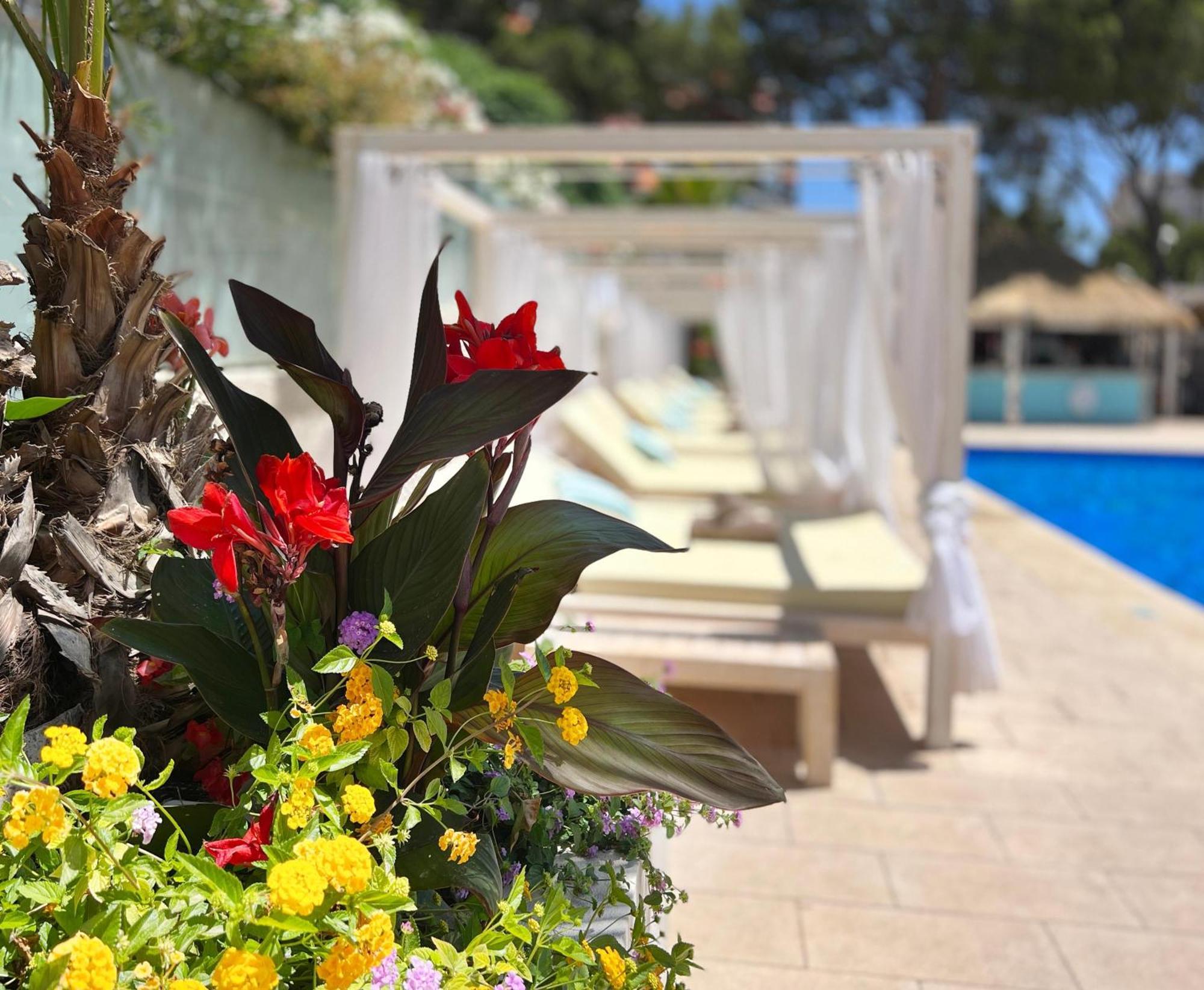 Apartment Mallorca Magaluf (Mallorca)